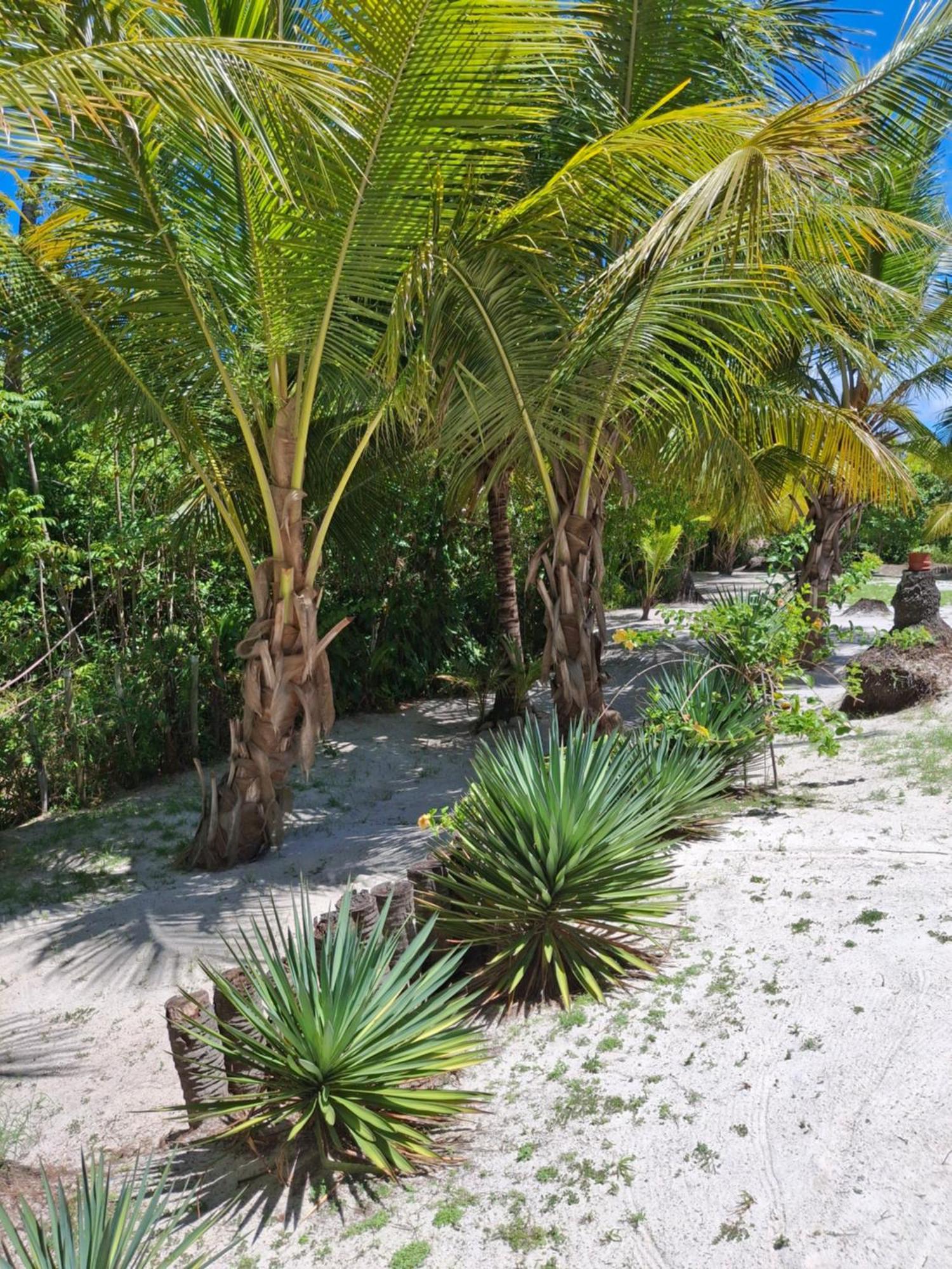 Recanto Verde - Praia De Santo Antonio Diogo Bagian luar foto